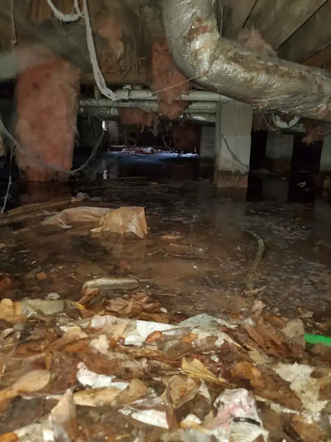 Crawl space flood assessment for Leak Detection & Repair in Dodge City